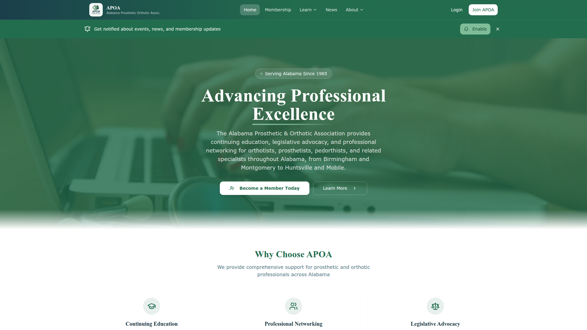 Alabama Prosthetic Orthotic Assoc. website screenshot